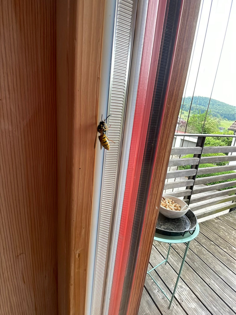 Een Duitse wespen zit op het kozijn van een balkondeur. Op de achtergrond is een houten balkon en een groen landschap te zien.