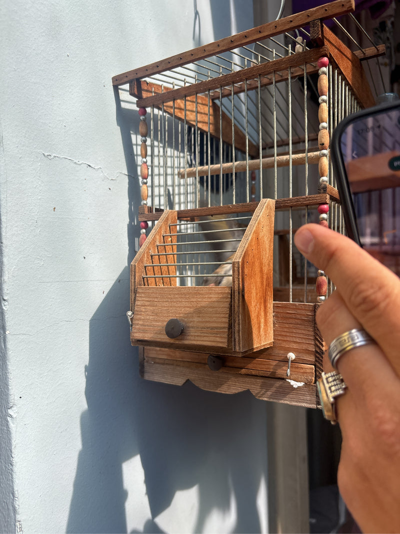 distelvink — Bild 2