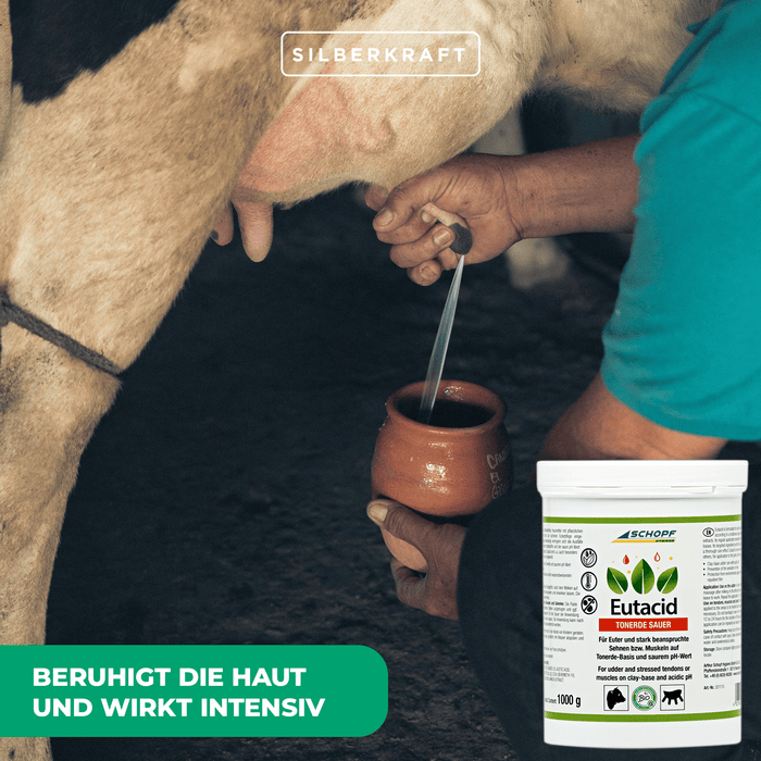 Eutacid Tonerdebalsam: Vielseitige Kuh-Pflege für Euter und Gelenke - Silberkraft