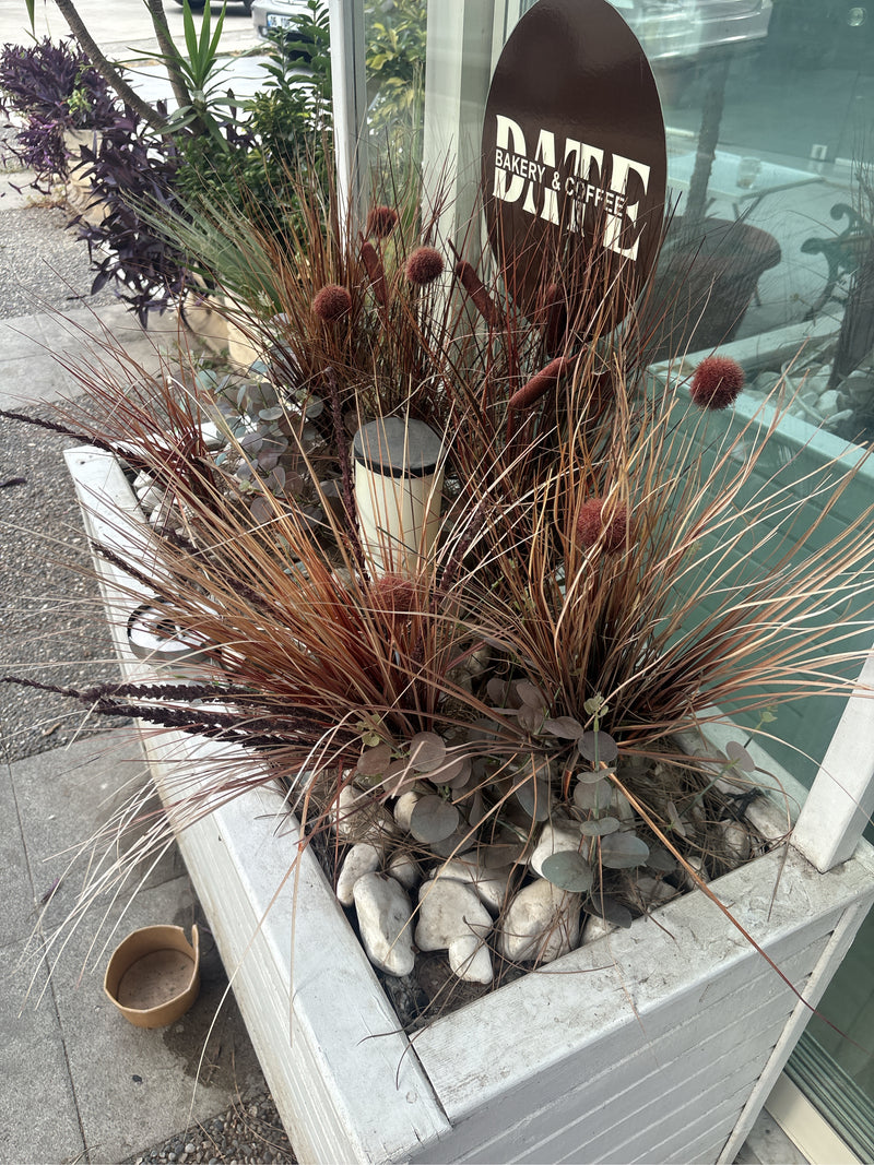 Verengrassen — Bild 5