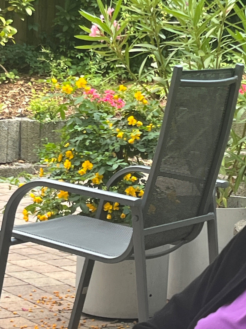 Op de achtergrond staat een bloeiende heester met gele bloemen in een tuin. Op de voorgrond is een grijze tuinstoel te zien.