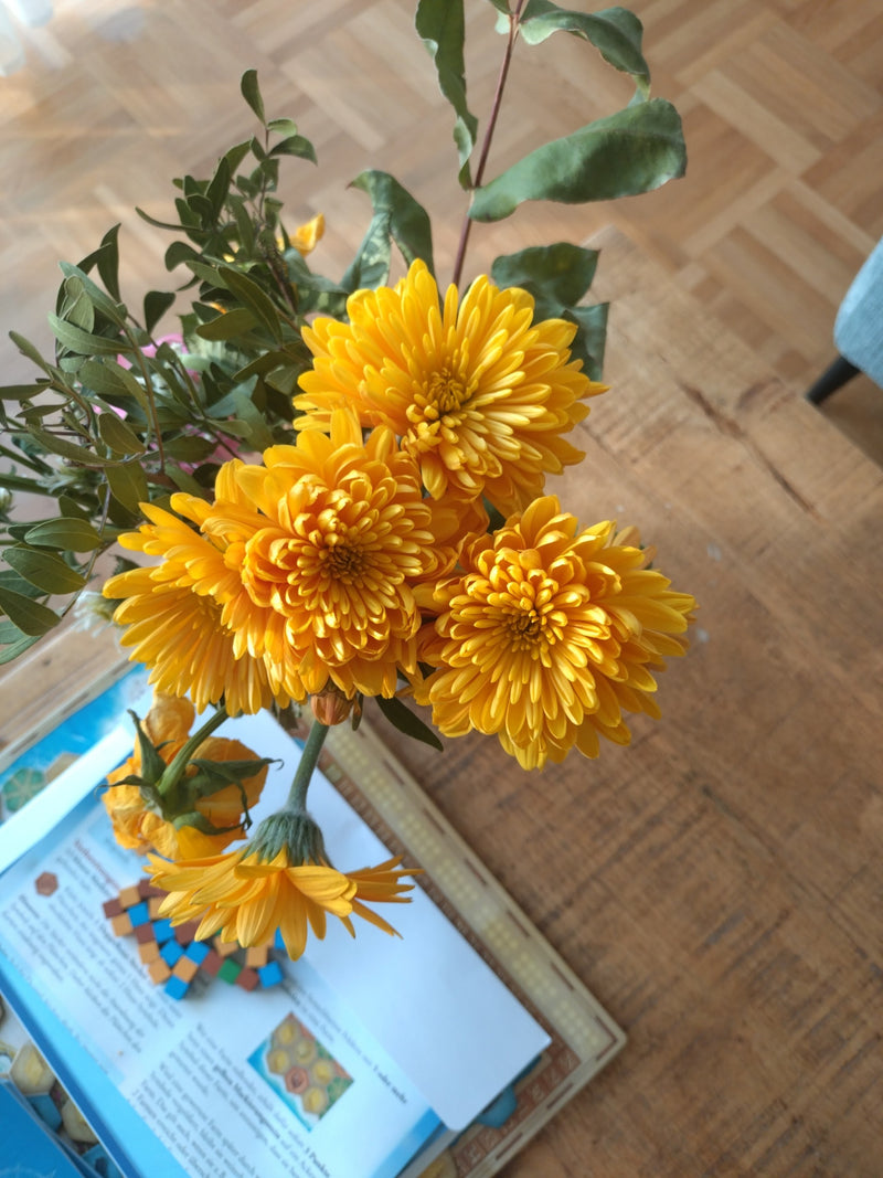 Tuinchrysant — Bild 2