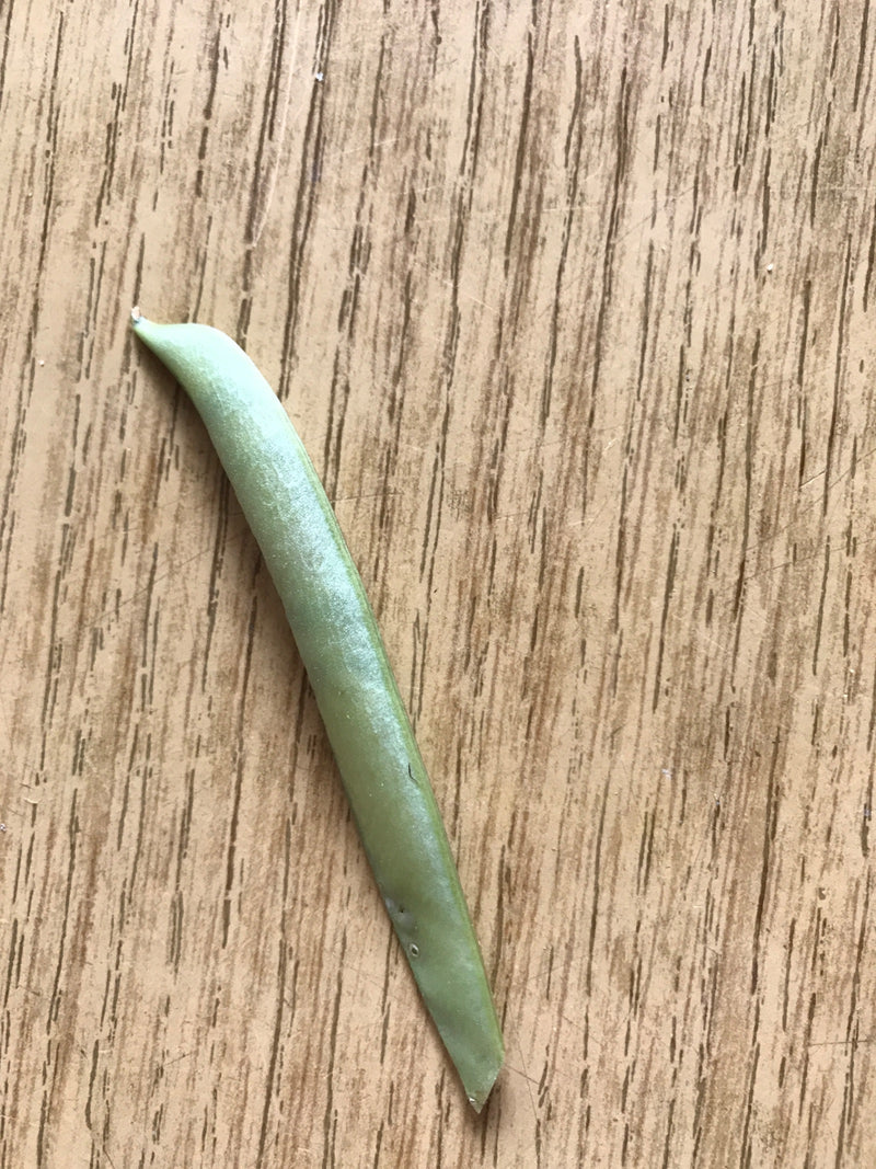De afbeelding toont een enkele groene boon op een houtachtige ondergrond.