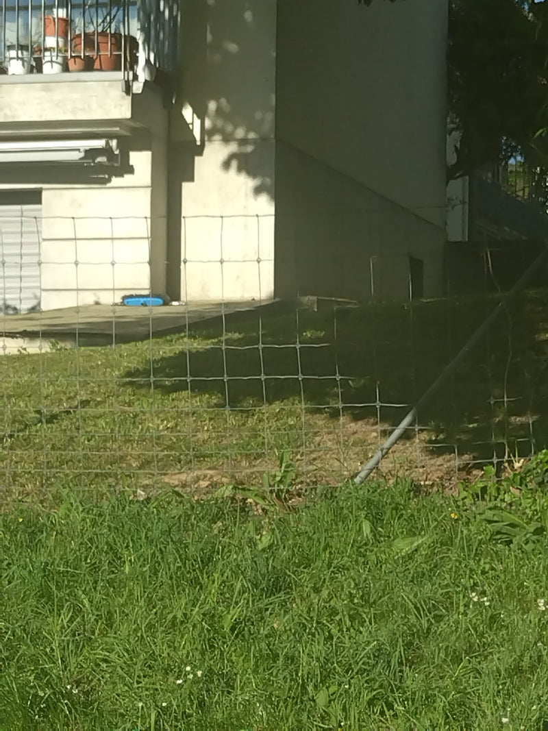 Tuinspin — Bild 2