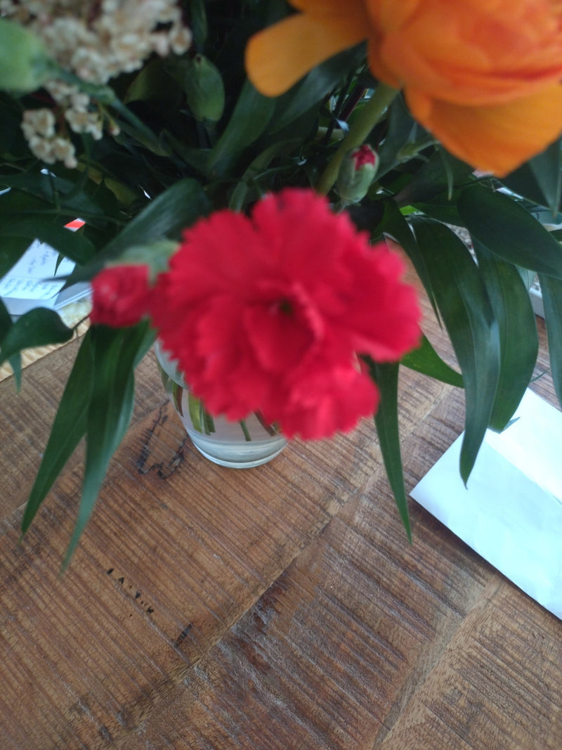 Anjer — Bild 1