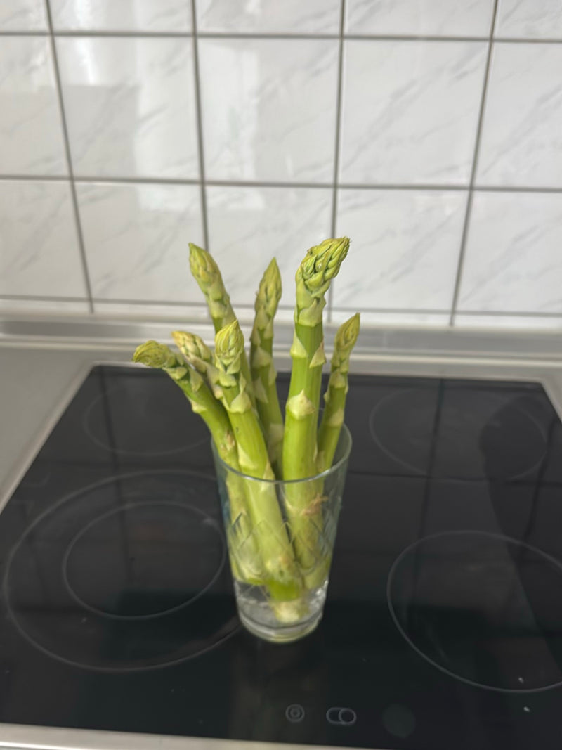 asperges — Bild 1