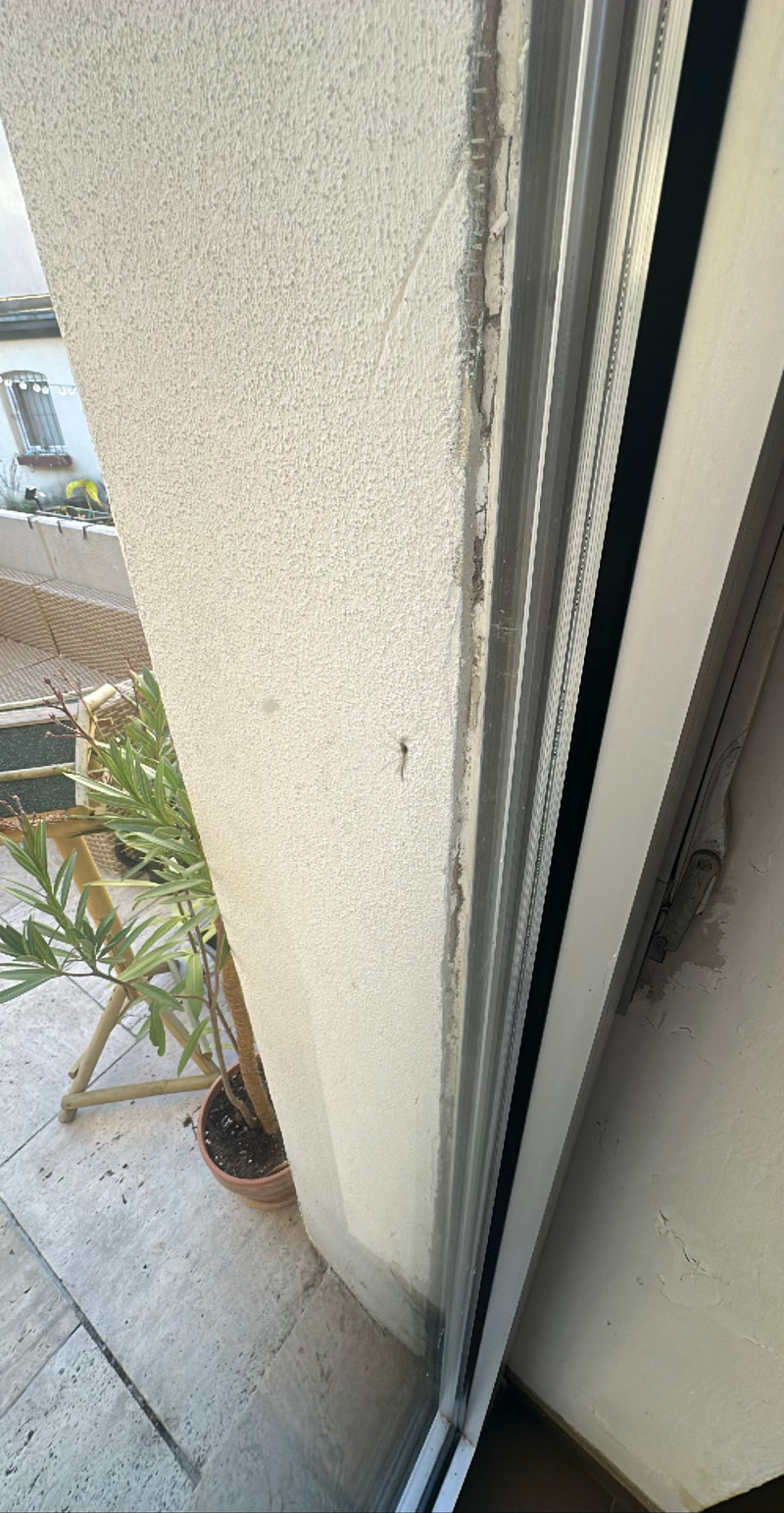 Een huismug zit op een lichte, bepleisterde muur naast een raam. Het insect is klein maar herkenbaar.