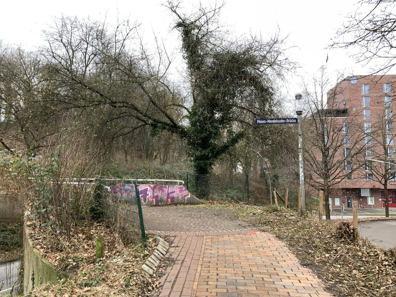 klimop — Bild 2