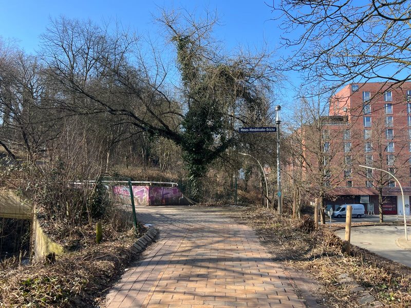 klimop — Bild 1