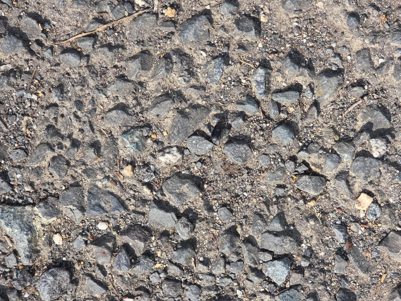 De afbeelding toont een zwarte loopkever die over een st Dieren ondergrond loopt. De foto legt het insect van bovenaf vast.