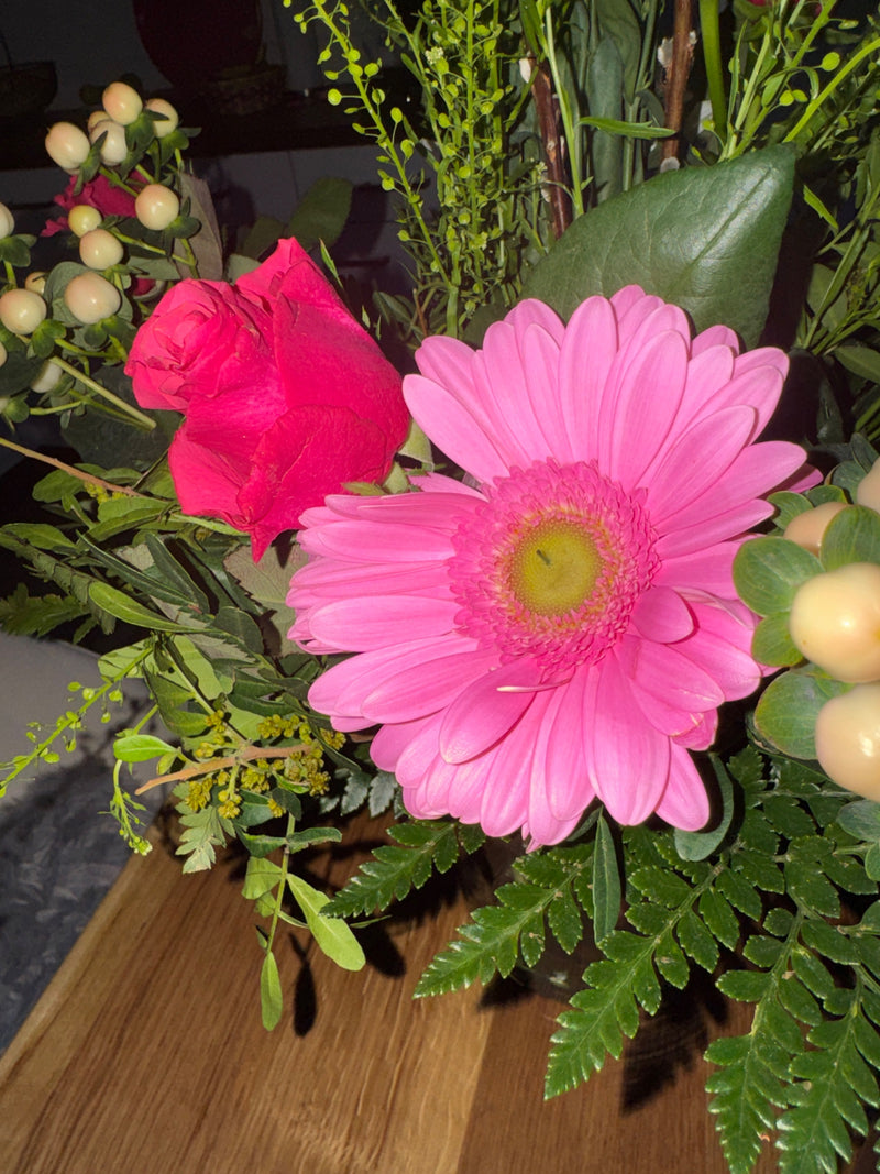 Gerbera's — Bild 1