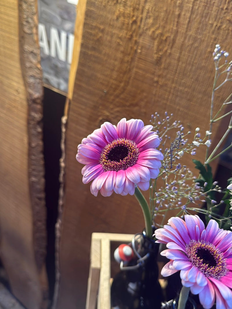 De afbeelding toont twee roze gerberabloemen die in een fles als vaas voor een houten lambrisering staan.