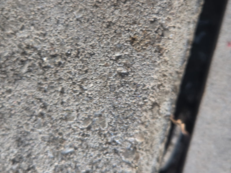 Graan loopkever — Bild 5