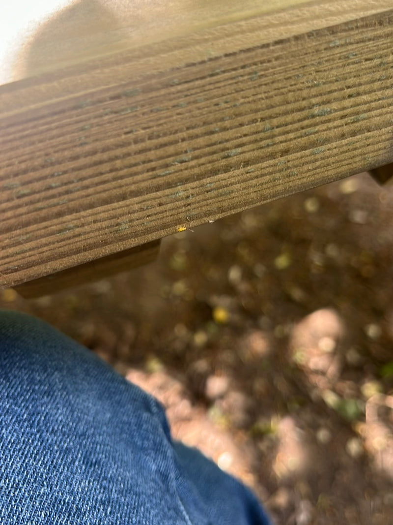 Een klein insect zit op een houten oppervlak, nauwelijks zichtbaar. Het is een exemplaar uit de orde van de thrips.