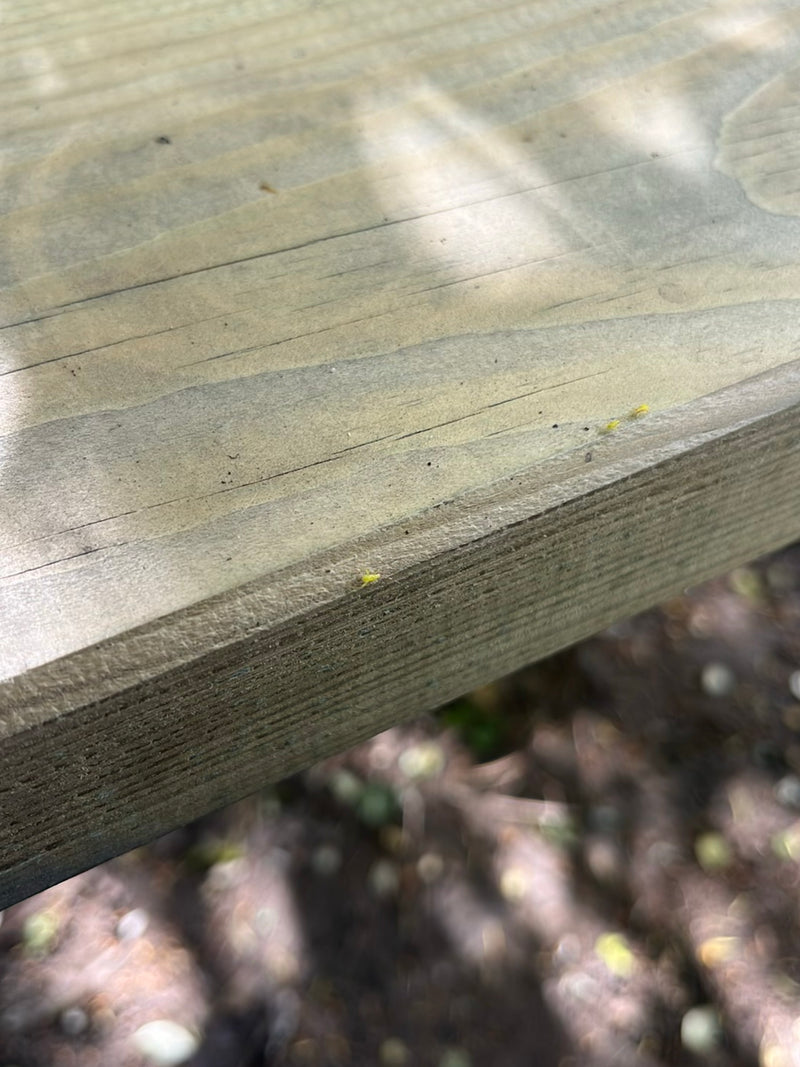 Kleine, gelige thripsen zitten op een houten oppervlak. De insecten zijn erg klein en vallen nauwelijks op tegen de achtergrond.