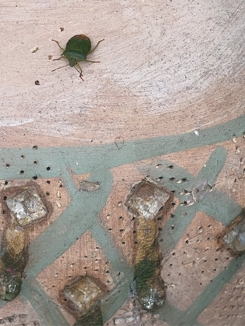 Een nimf van de groene stinkwants zit op een gestructureerd, patroon oppervlak. Het insect is duidelijk zichtbaar.