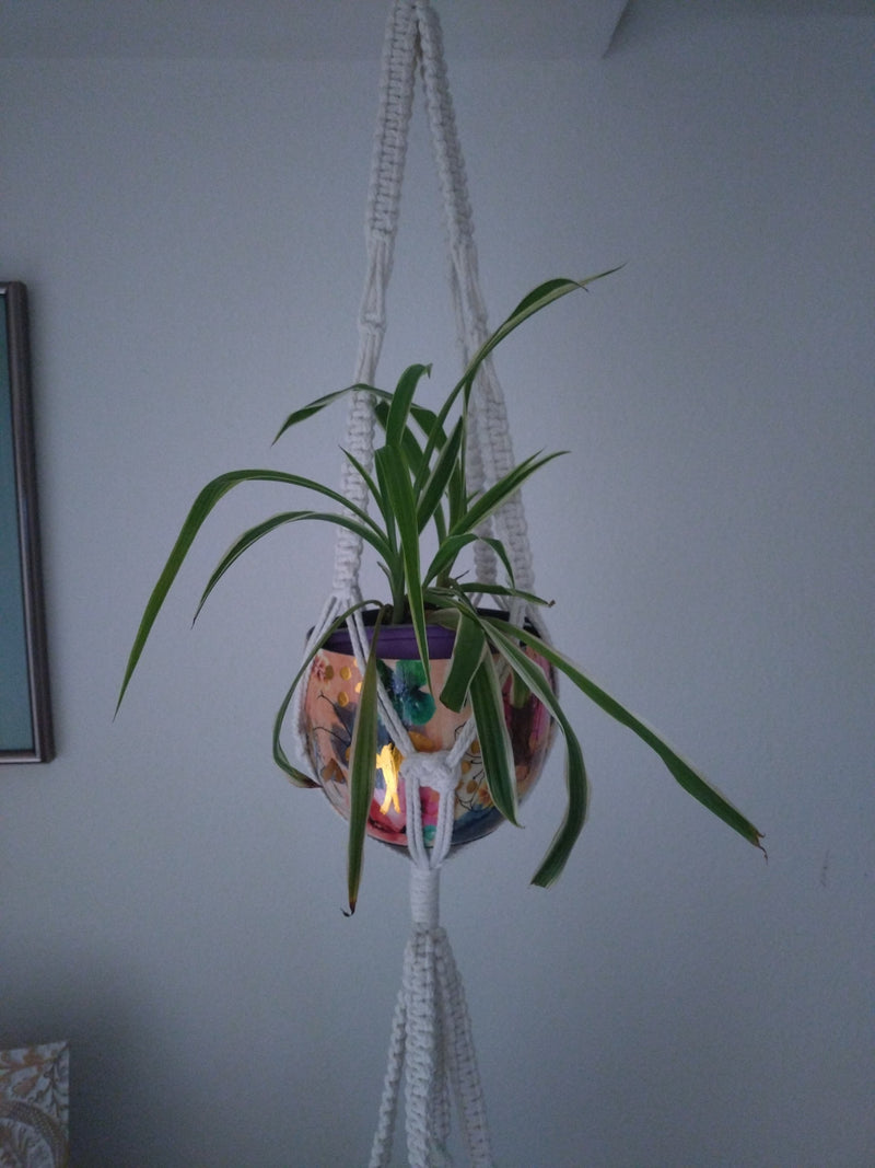 Groene lelie — Bild 1