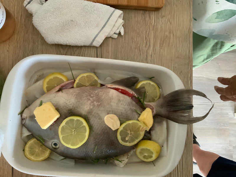 Grijze trekkervis — Bild 2