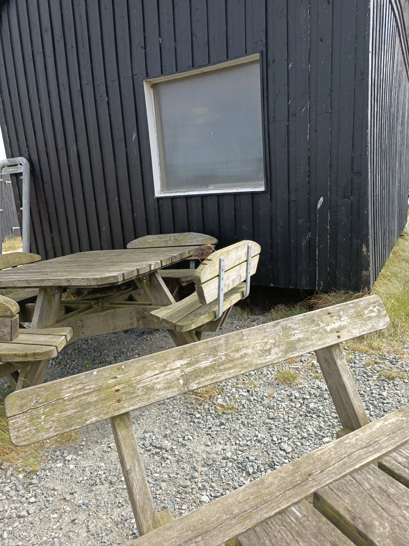 Wulp — Bild 1
