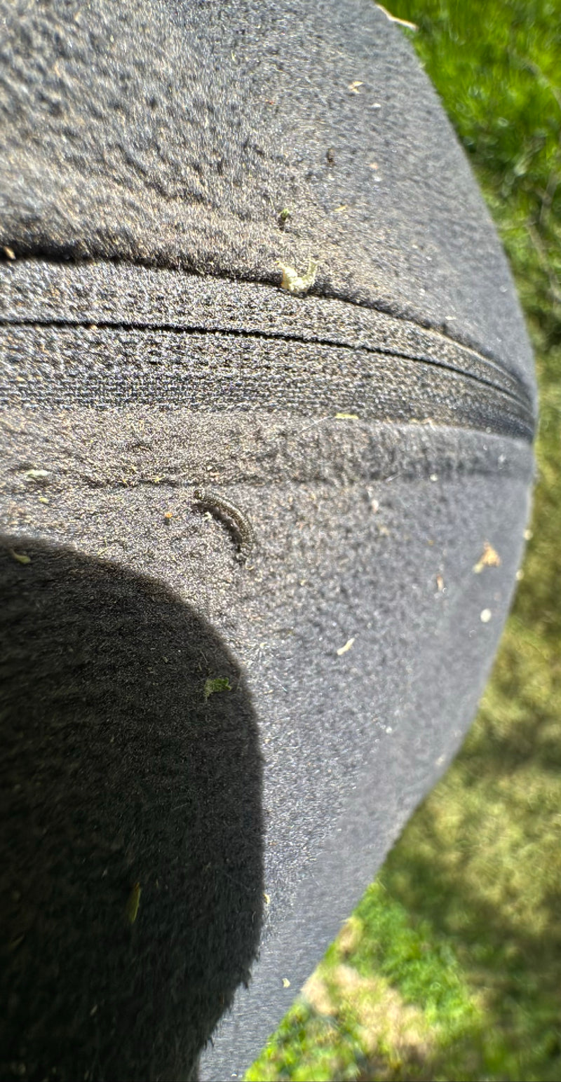 Een kleine rups zit op een donker stoffen oppervlak. Het dier is veraf en moeilijk te herkennen.