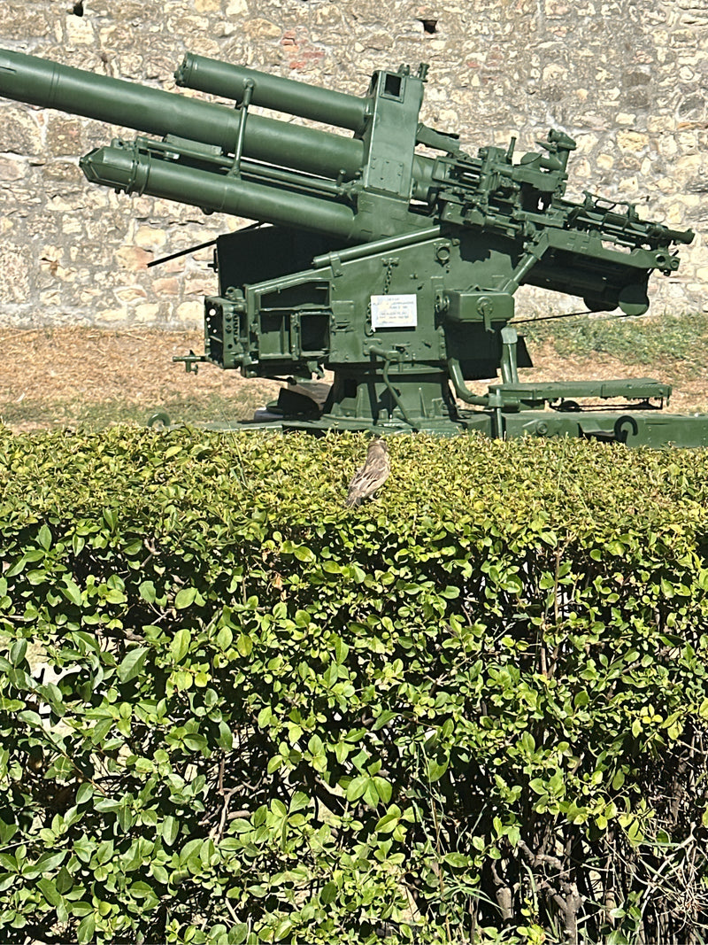 Een kleine vogel zit op een groene haag. Op de achtergrond is een militair kanon te zien.