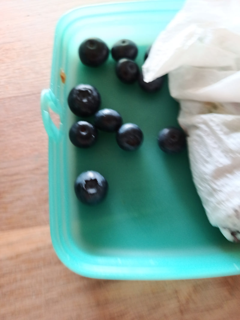 Bosbes — Bild 1