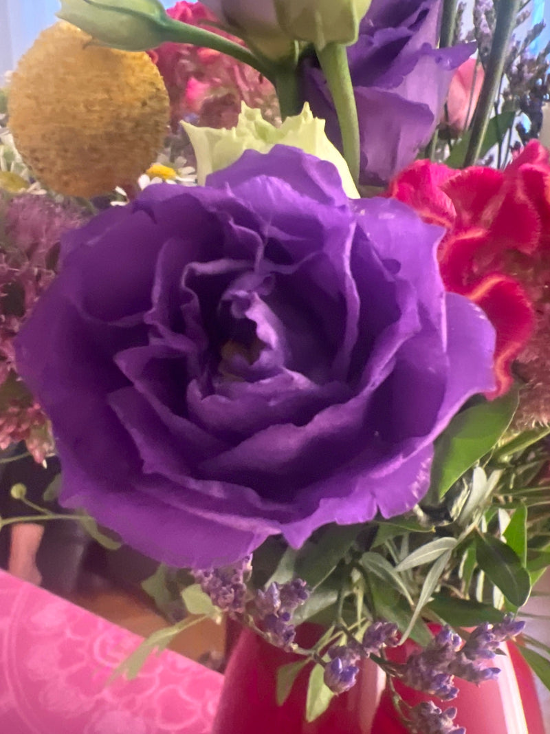 Japanse roos (Lisianthus) — foto 2 van 3