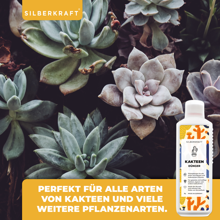 Kakteendünger - Mineralischer NPK Flüssigdünger mit Stickstoff - Dünger für Kakteen und Sukkulenten - Kakteen düngen - Silberkraft