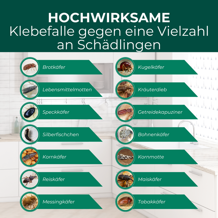 Silberkraft Klebefalle wirksam gegen Brotkäfer, Kornkäfer, Reiskäfer, Lebensmittelmotten, Speckkäfer und weitere Vorratsschädlinge
