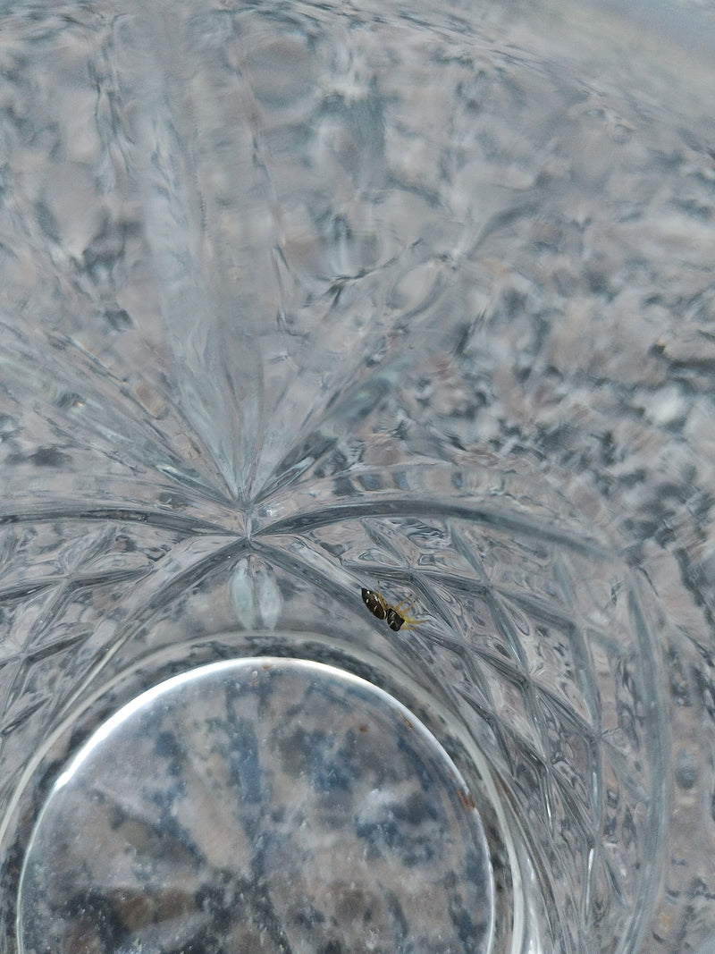 Een koperen springspin zit op het binnenoppervlak van gestructureerd glas. Het onderwerp is relatief klein te zien.