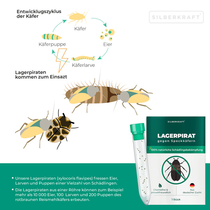 Lagerpirat zur Bekämpfung von Speckkäfern, Teppichkäfer & Vorratsschädlingen Lagerpiraten - Silberkraft