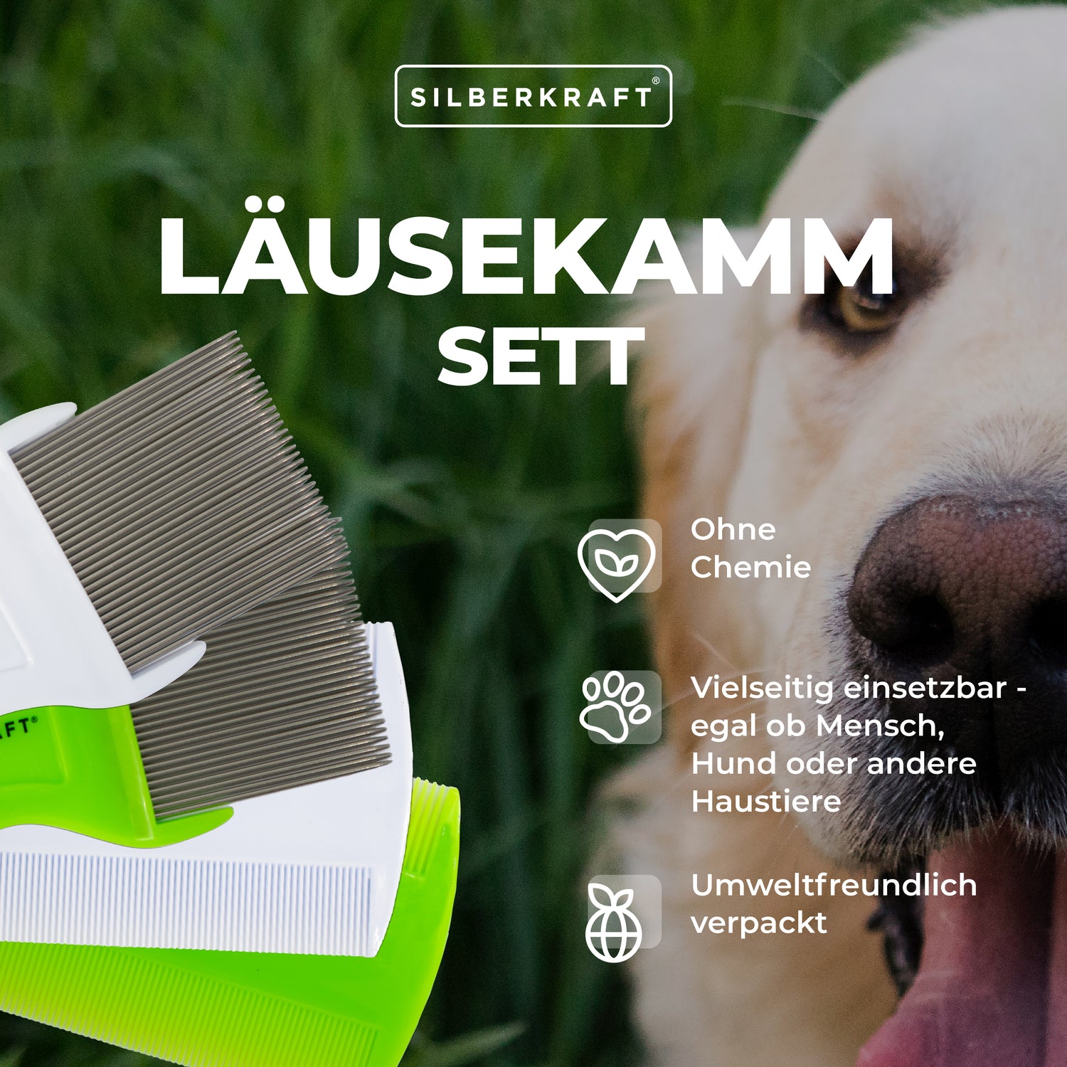 Luizenkam set van 4