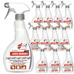 Leerreinigingsspray: Effectieve reiniging van rijaccessoires - Silberkraft