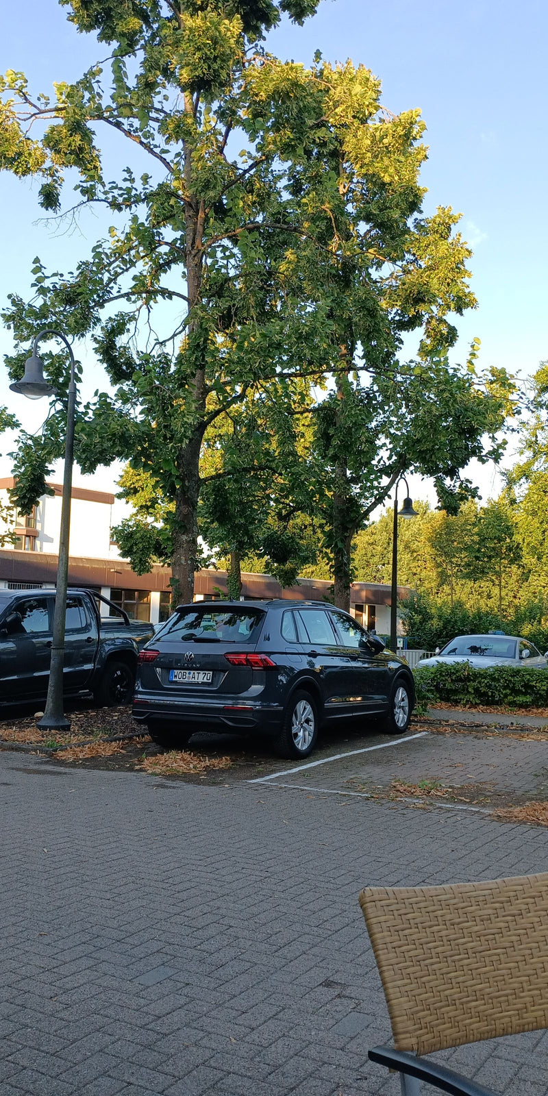 De afbeelding toont grote linden op een verhard parkeerterrein in een stedelijke omgeving. Op de voorgrond staan geparkeerde auto's.