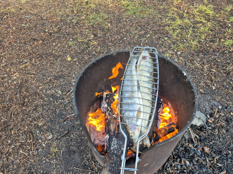 Maräne — foto 1 van 1