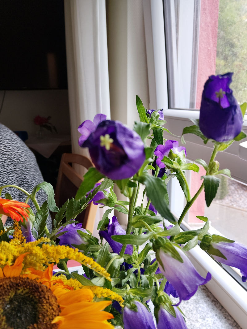 Maria's klokje — Bild 1
