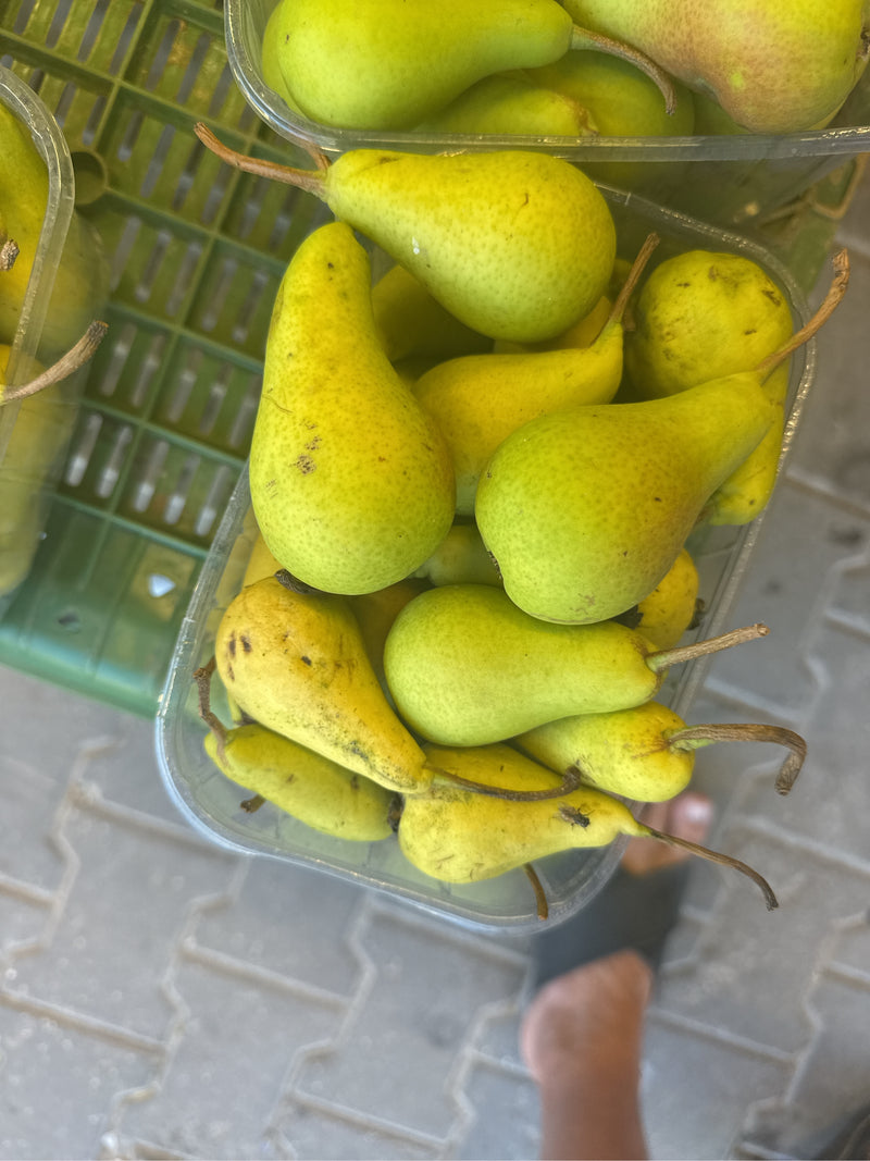 Meerdere rijpe nashiperen liggen dicht bij elkaar in een plastic bakje. De geel-groene vruchten zijn van bovenaf goed zichtbaar.