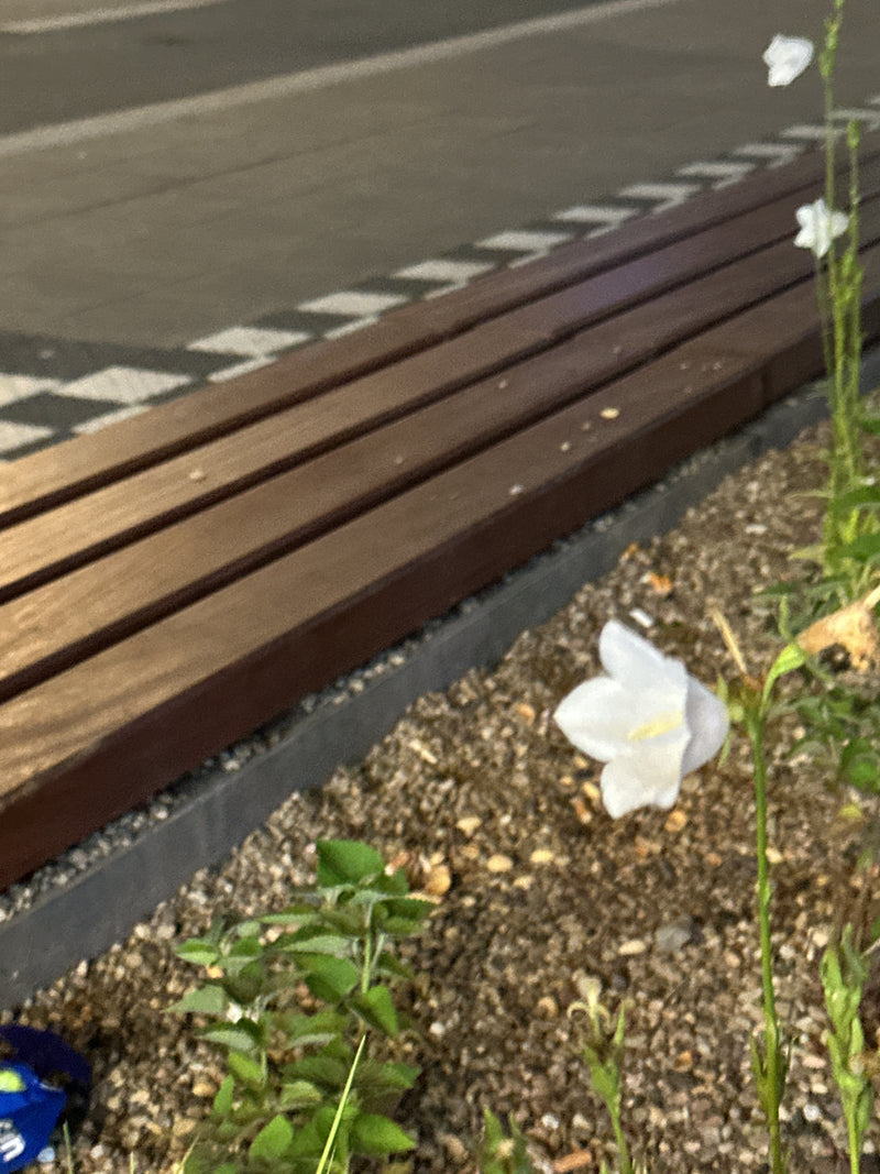 Er is een witte klokjesbloem te zien die groeit naast een houten bank op een grindbed. De typische klokvormige bloemen staan op slanke stengels.