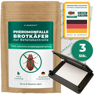 Pheromonfalle Brotkäfer - Silberkraft