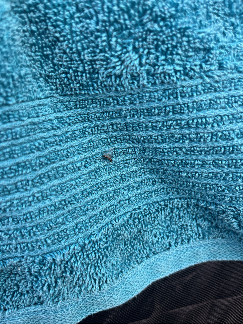 Een volwassen plataannetwants zit op een blauwe handdoek. Het kleine insect is duidelijk te zien.