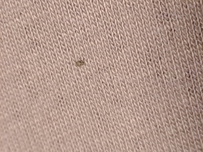 Een piepkleine plataannetwants zit op een gestructureerde stof. Het insect is erg klein en nauwelijks herkenbaar.