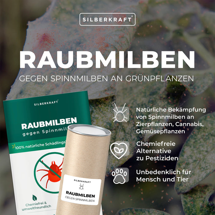 Raubmilben gegen Spinnmilben an Grünpflanzen - Silberkraft