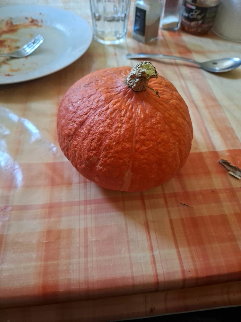Een oranjerode pompoen ligt op een geruit tafelkleed naast servies.