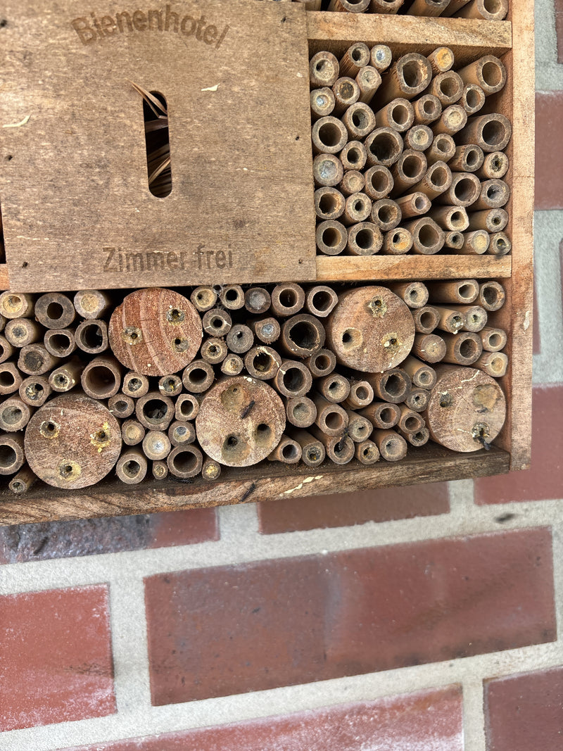 Te zien is een insectenhotel met verschillende holle stengels en houten schijven als nestelhulp. De faciliteit dient voor de broedzorg van solitair levende b...
