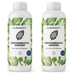 Dieffenbachia-Dünger - Silberkraft