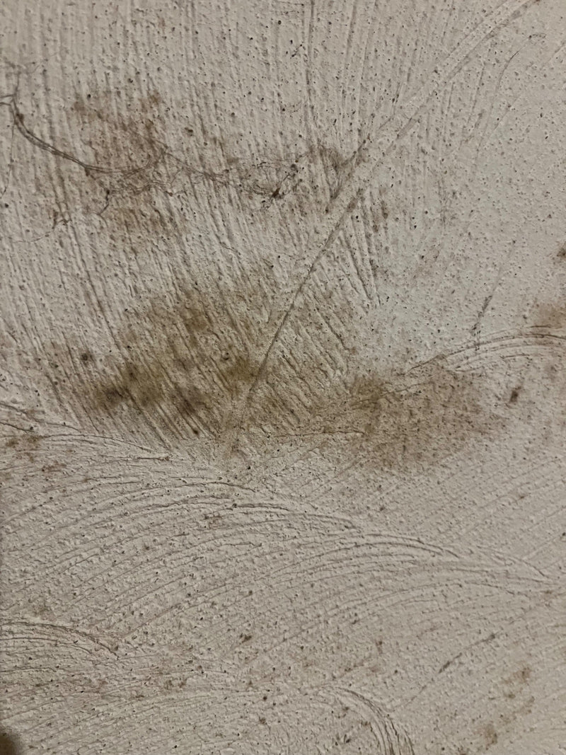 Op de gestructureerde, lichte wand zijn donkere, vlekkerige verkleuringen door schimmel te zien. De aantasting verschijnt in onregelmatige patronen op het pl...