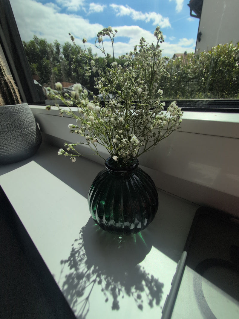 Gypsophila — Bild 2