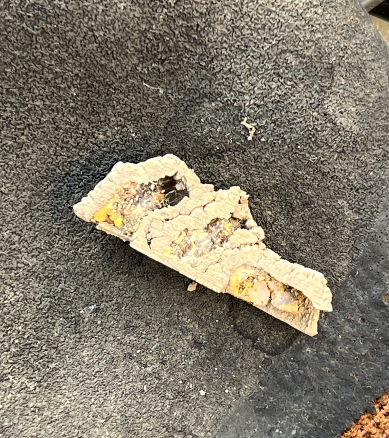 Zwarte mortelbij — Bild 1