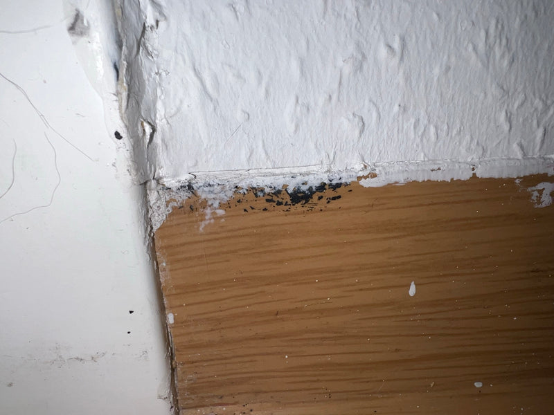 De afbeelding toont een besmetting met zwarte schimmel op de rand tussen een witte muur en een houten plint. De donkere verkleuring duidt op schimmelgroei.