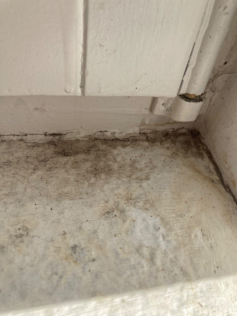 De afbeelding toont donkere schimmelgroei langs een witgeschilderde houten rand en muur. De schimmel groeit plat op het vochtige oppervlak.